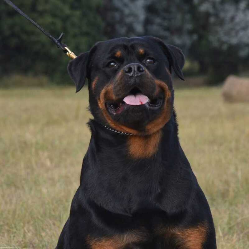 SLIDESHOW (2) (1) (1)