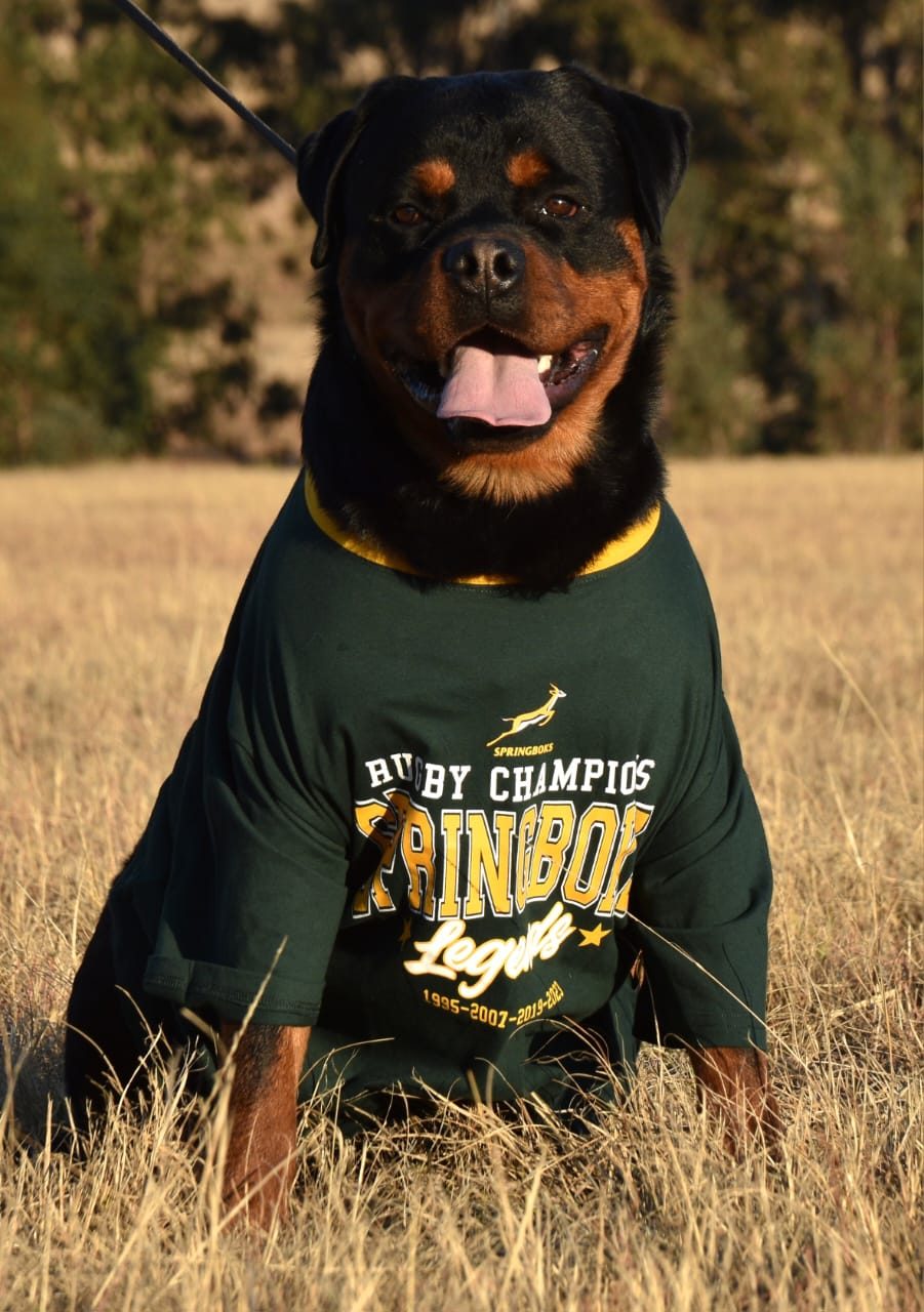 Craffenheim Felix Jones – Craffenheim Rottweilers