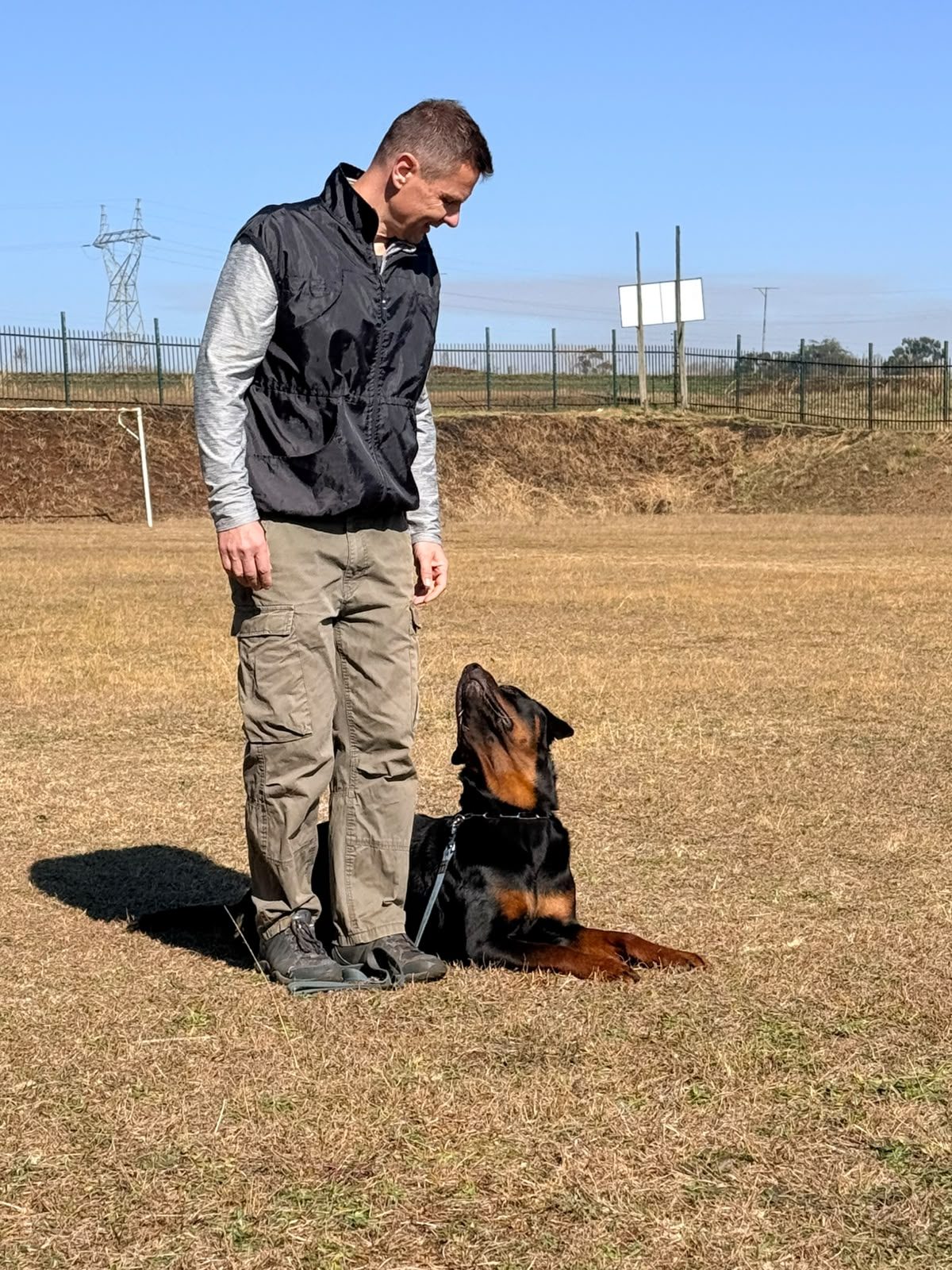 Up and Coming Rottweilers – Craffenheim Rottweilers