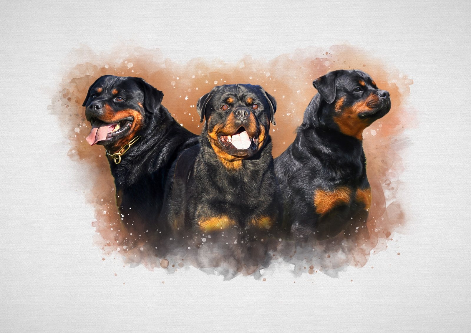 Craffenheim Legends, the Rottweilers who shaped Craffenheim