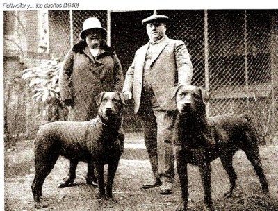 Early Rottweiler breeders with their dogs