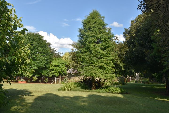 Open lawn and tall trees on the Craffenheim Rottweilers farm