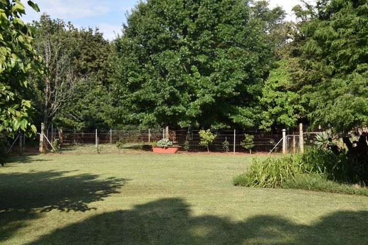 Shaded lawn and garden beds at Craffenheim Rottweilers