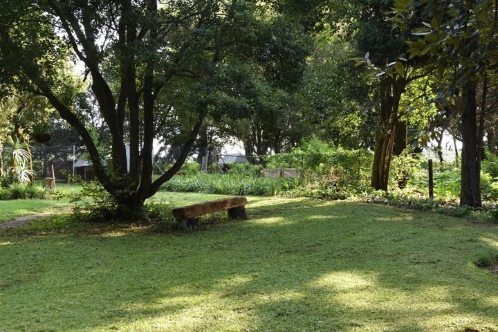 Garden bench beneath the trees at Craffenheim Rottweilers