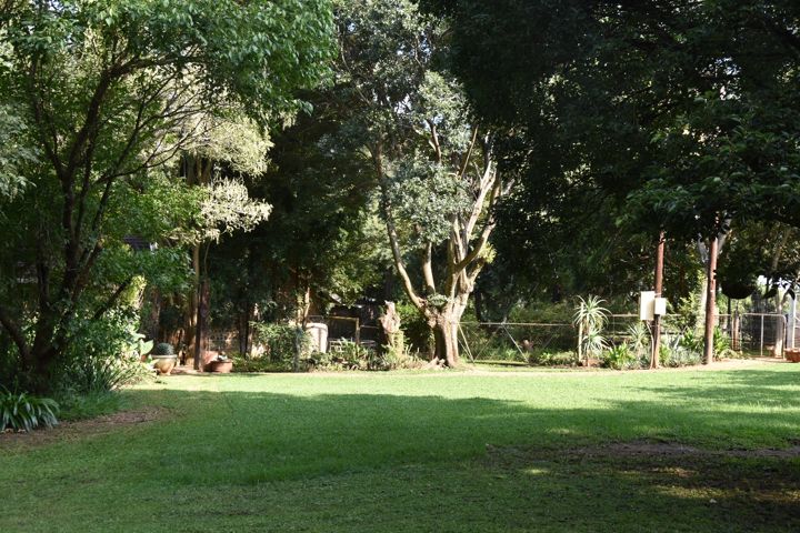 Lawn and indigenous trees on the Craffenheim farm