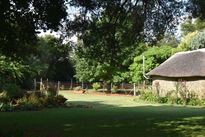 Thatched rondavel and garden at Craffenheim Rottweilers