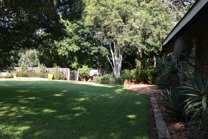 Garden path and aloes beside the house at Craffenheim Rottweilers