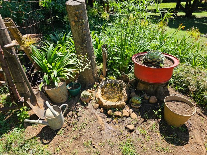 A shady garden corner with pots, succulents and a watering can on Rietspruit Farm