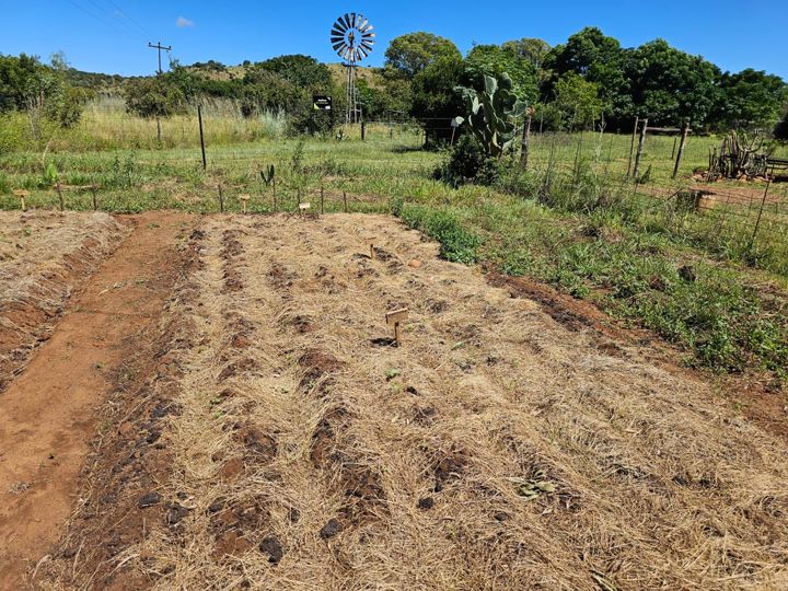 A freshly prepared vegetable bed with the windmill and hills behind on Rietspruit Farm