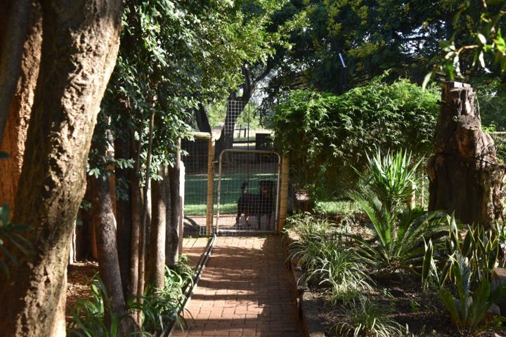 A shady brick path through the garden at Craffenheim Rottweilers