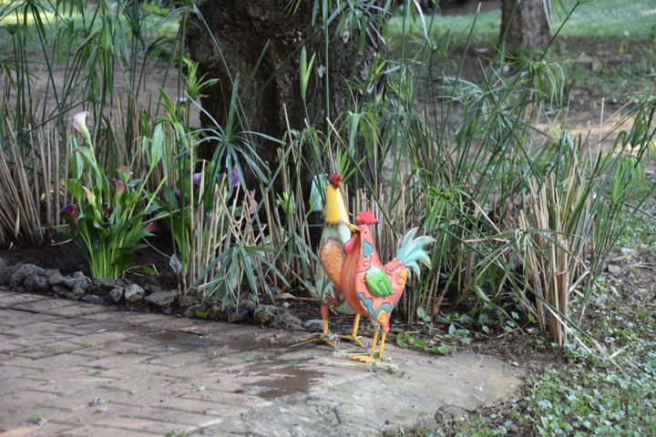A painted rooster ornament in the garden at Craffenheim Rottweilers