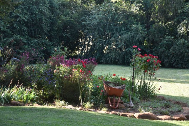 Flower beds and an old wheelbarrow on the lawn at Craffenheim Rottweilers