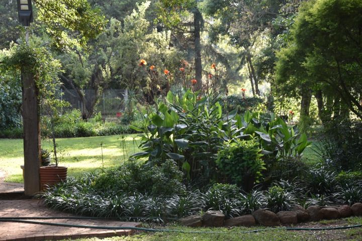 A lush garden bed under the trees at Craffenheim Rottweilers