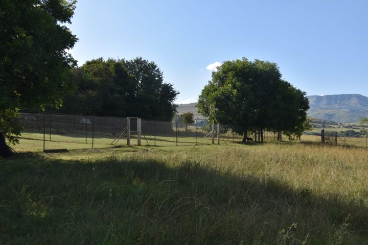 The runs and trees, with the mountains on the horizon at Craffenheim Rottweilers