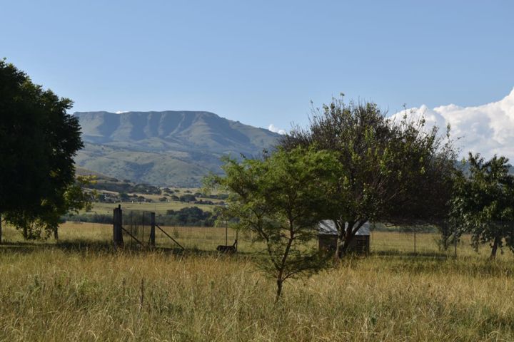 Open veld and trees with the mountain beyond at Craffenheim Rottweilers