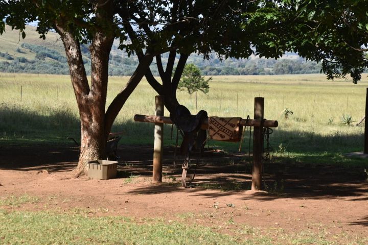 A swing bench under the trees, looking out over the valley at Craffenheim Rottweilers