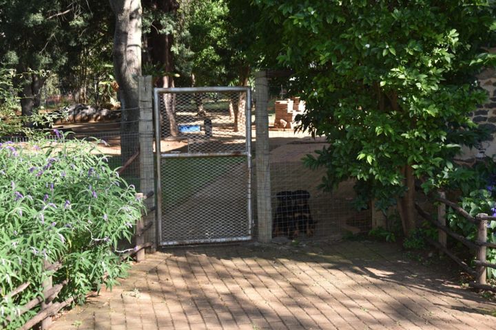 The garden gate and paved path among the greenery at Craffenheim Rottweilers