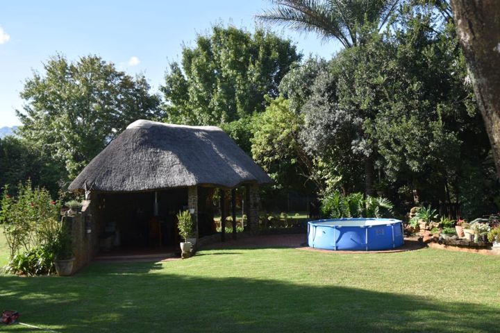 The thatched lapa and pool surrounded by trees at Craffenheim Rottweilers