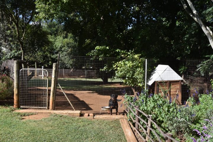A Rottweiler by its kennel house next to the flower beds at Craffenheim Rottweilers