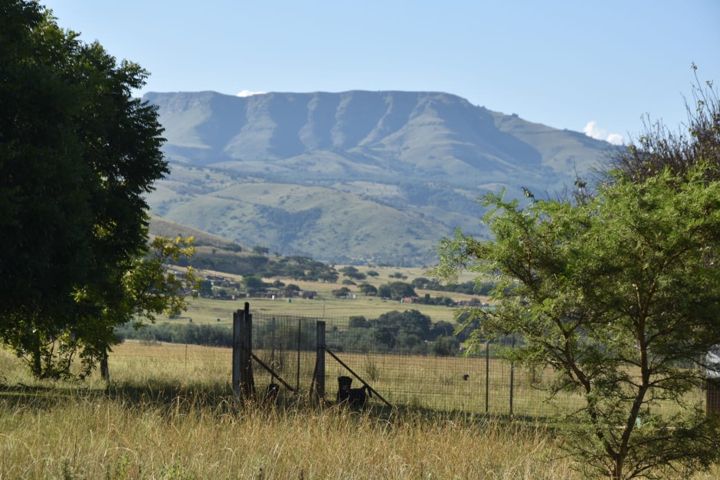 The mountain towering over the veld and the far runs at Craffenheim Rottweilers