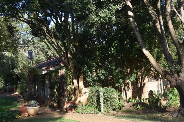 The house tucked away beneath the big trees at Craffenheim Rottweilers