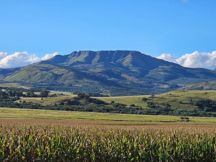 Maize fields stretching towards the mountains of Northern KwaZulu-Natal