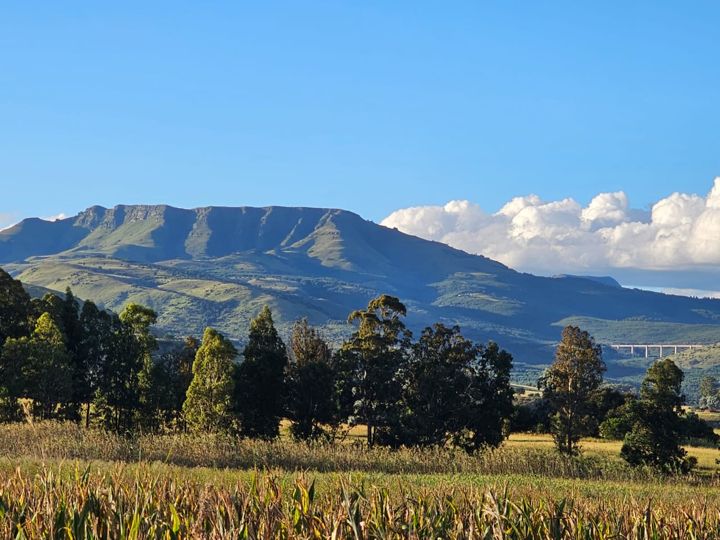 Table-topped mountain above the trees and maize fields in Northern KwaZulu-Natal